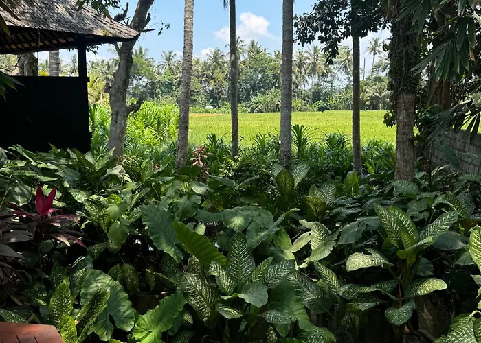 Pantulan Bali